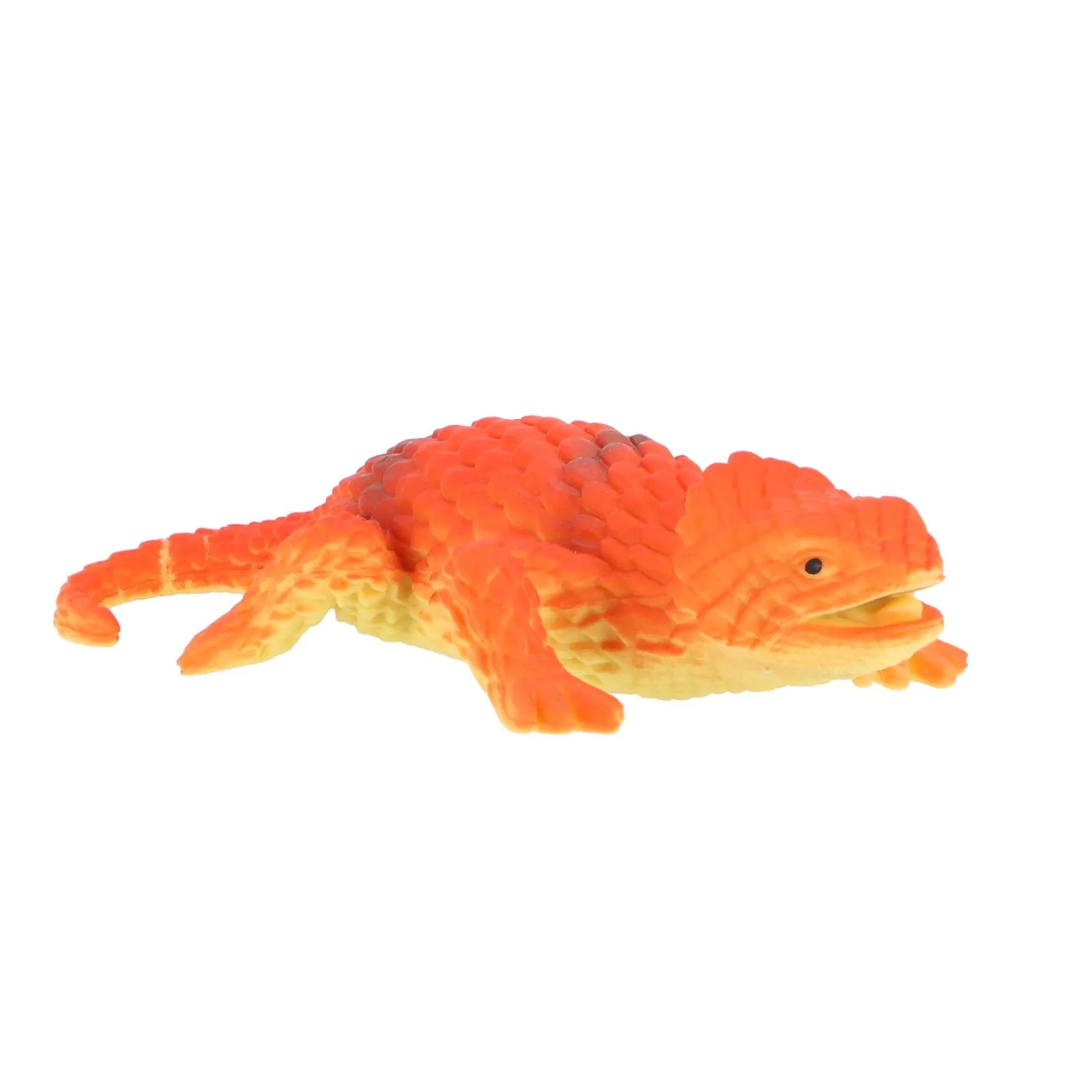 Amazing Cool hagedis color change