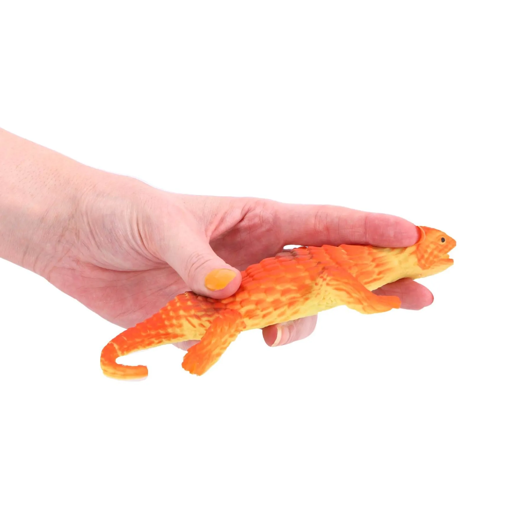 Amazing Cool hagedis color change