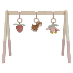 Babygym Fairy Garden