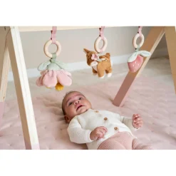 Babygym Fairy Garden