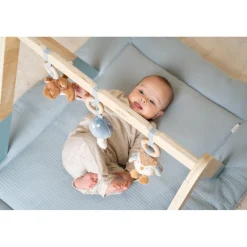 Babygym Forest Friends Fsc