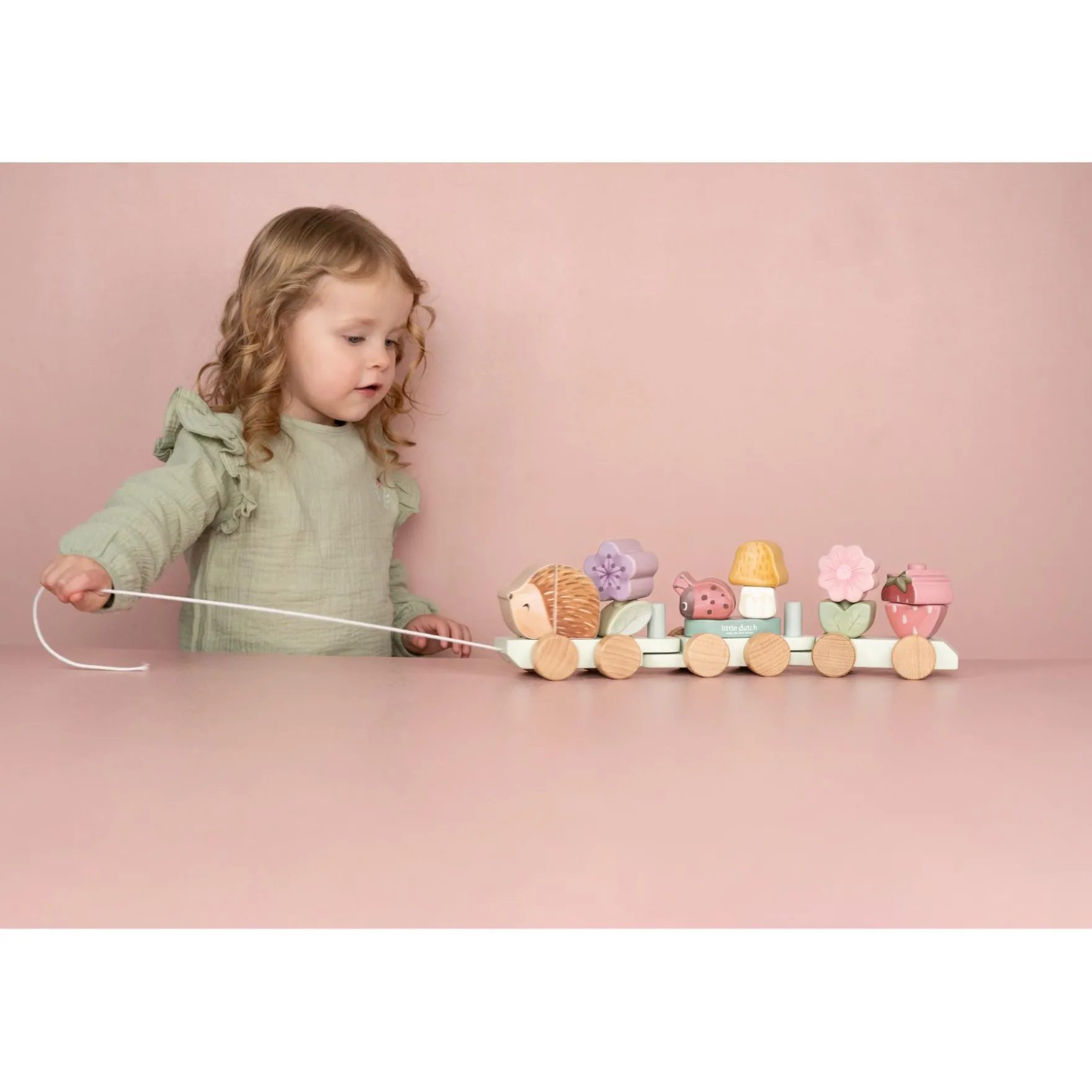 Blokkentrein Egel Fairy Garden