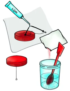 Clementoni kristallen maken educatief
