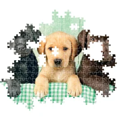 Clementoni Puzzel 1000 stuks Labrador pubs 3 kleuren compact