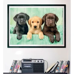 Clementoni Puzzel 1000 stuks Labrador pubs 3 kleuren compact