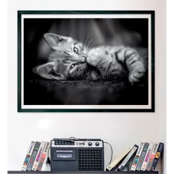 Clementoni Puzzel 1000 stuks kitten compact