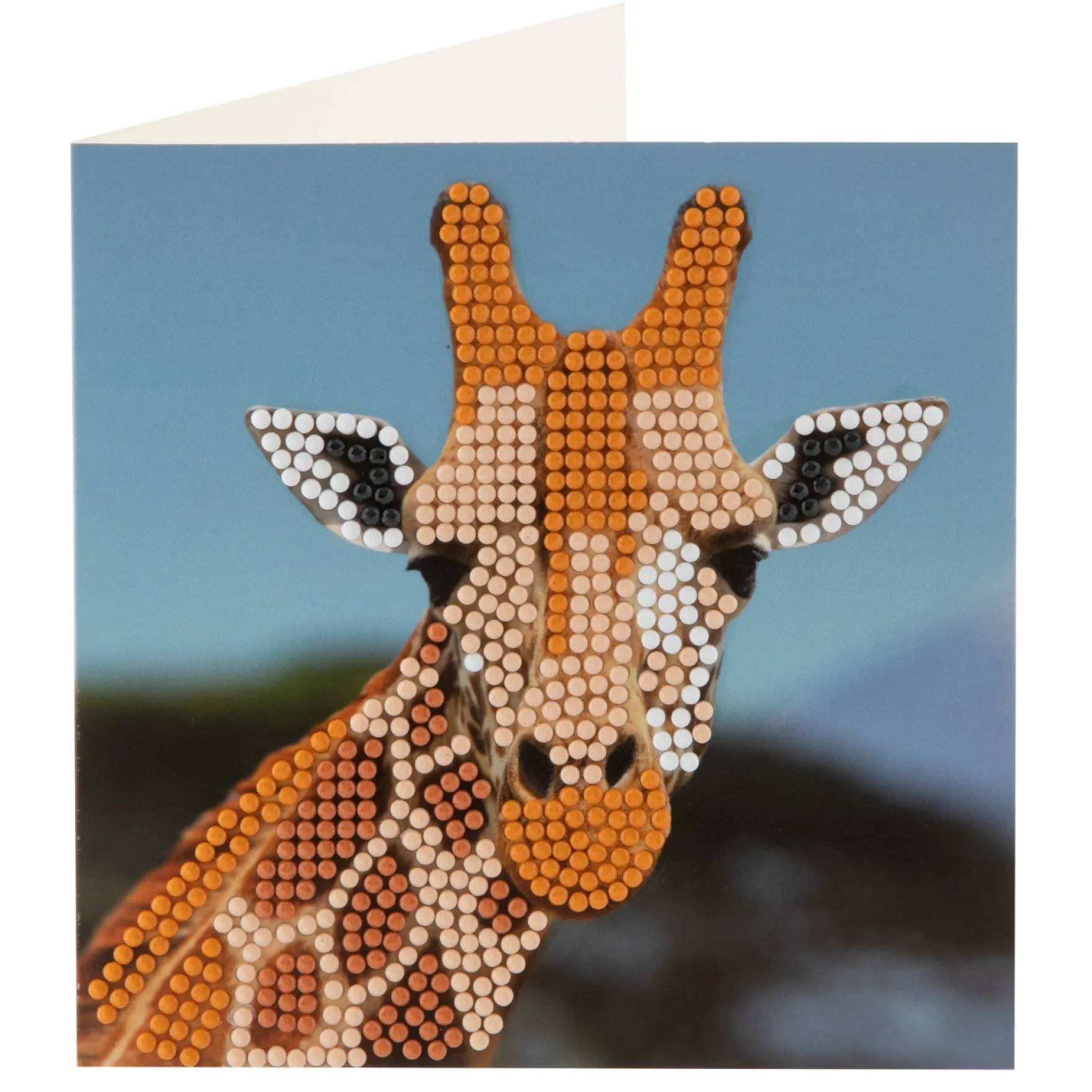 Diamond painting kaartenset 13x13 cm 2 stuks 3 assorti