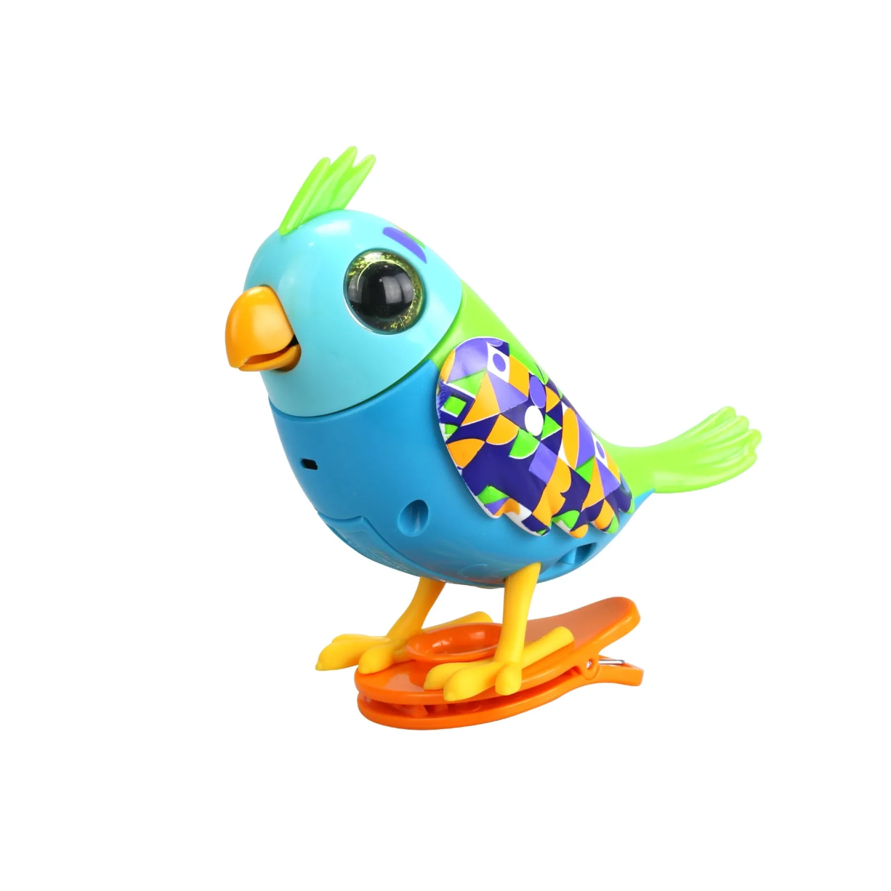 Digibirds S2 Hooded Parrot In Kooi