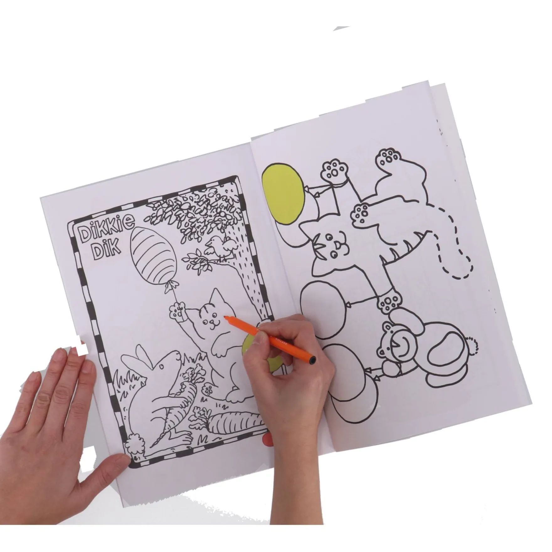 Dikkie Dik Kleurboek