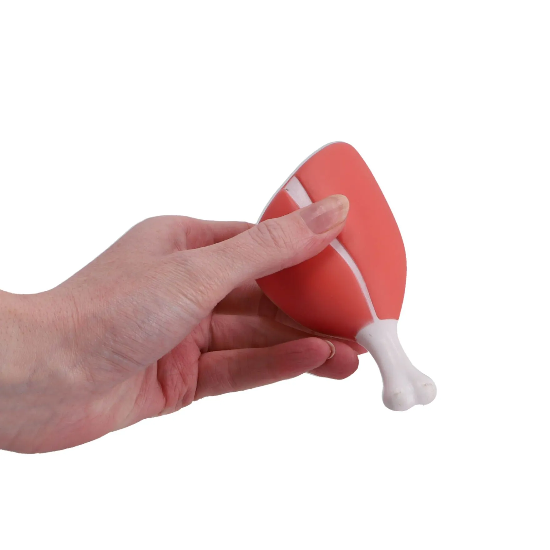 Dinobase Functie Dino blauw groot