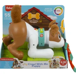 Fisher Price 123 Crawl With Me Puppy Nl