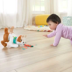 Fisher Price 123 Crawl With Me Puppy Nl