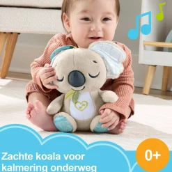 Fisher price on the go koala soother