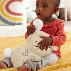 Fisher Price Soothe And Settle Bunny