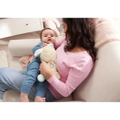 Fisher Price Soothe And Settle Bunny