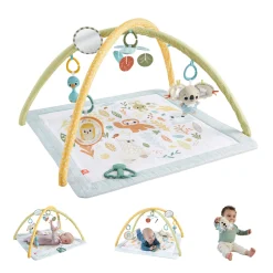 Fisher Price symply senses gym