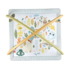 Fisher Price symply senses gym