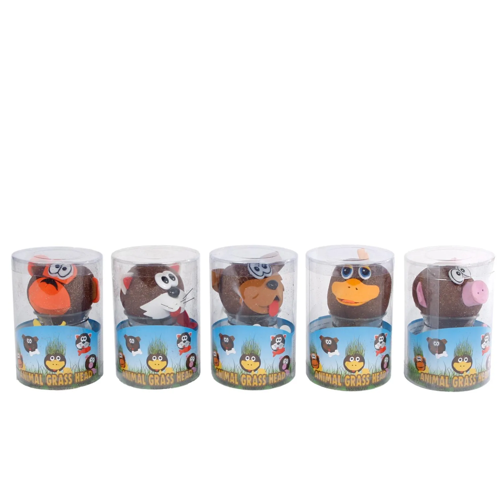 Grasvriendjes groei 7,5x12,5 cm 5 assorti