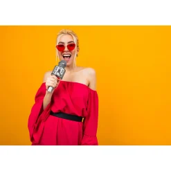 Idance bluetooth microfoon zilver