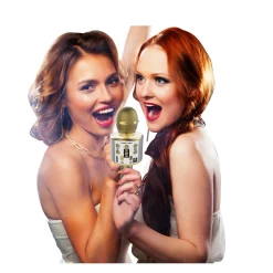 Idance bluetooth party microfoon goud