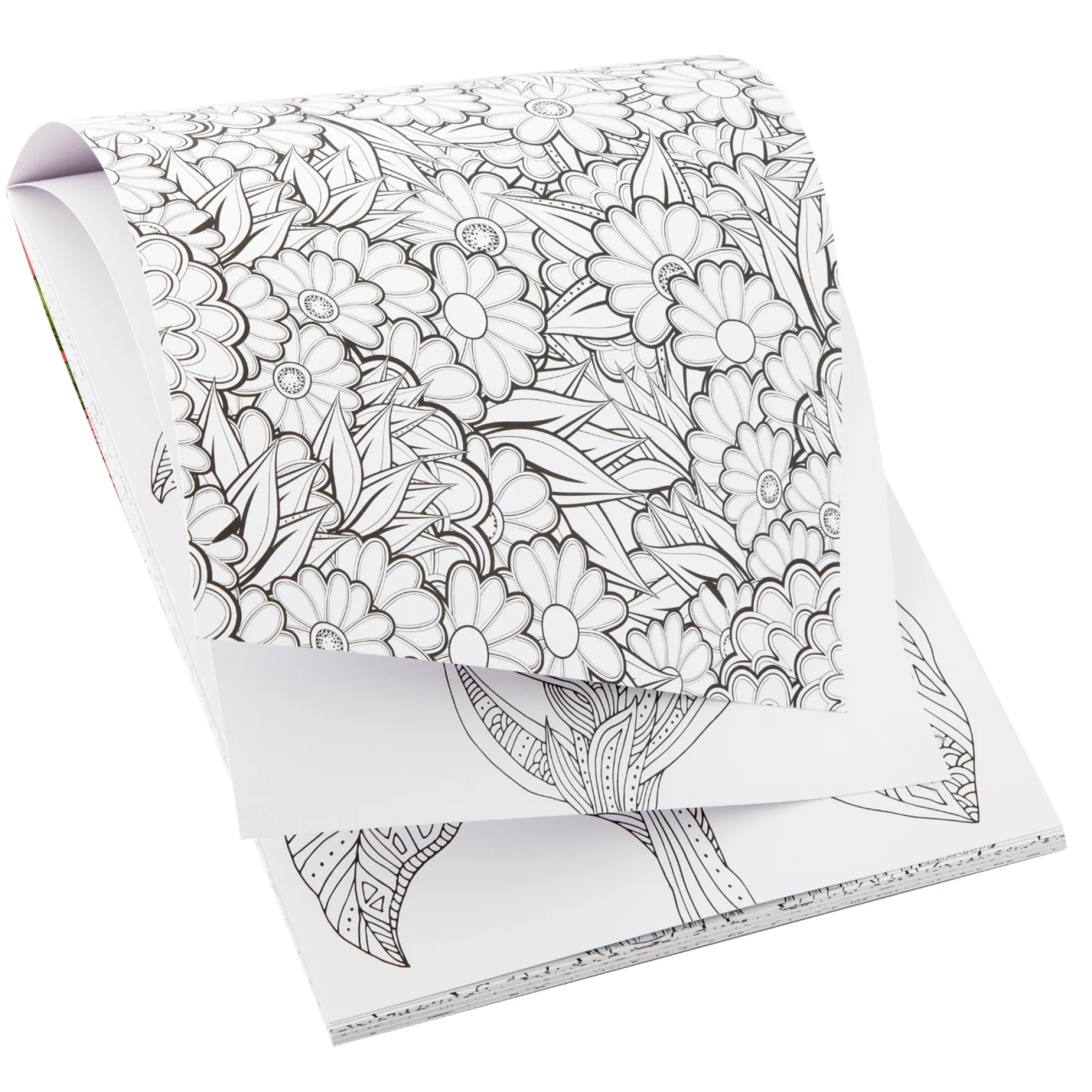 Kleurboek voor Volwassenen 7x21cm 20 designs 2 assorti