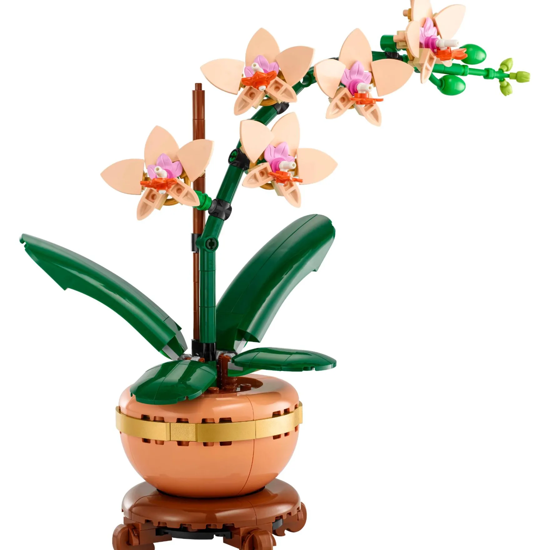 LEGO 10343 Botanicals Miniorchidee