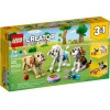 LEGO 31137 Creator Schattige Honden
