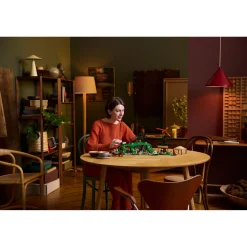 LEGO 10354 iconen The Lord of the Rings: de Gouw