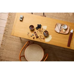 LEGO 10363 Icons De vliegmachine van Leonardo da  Vinci