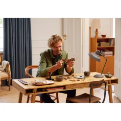 LEGO 10363 Icons De vliegmachine van Leonardo da  Vinci