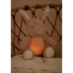 Little Dutch knuffelkonijn licht & geluid