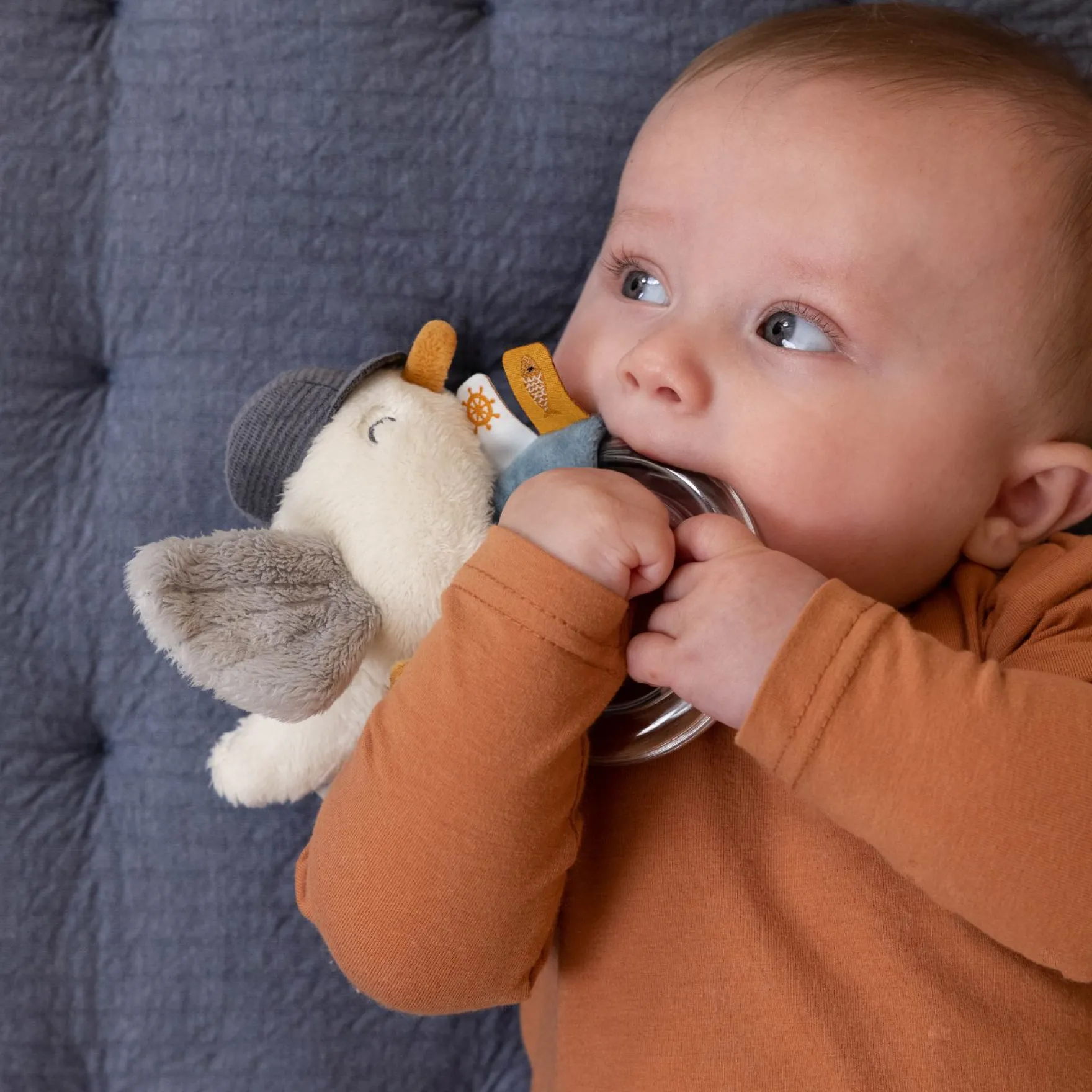 Little Dutch Ringrammelaar Sailors Bay