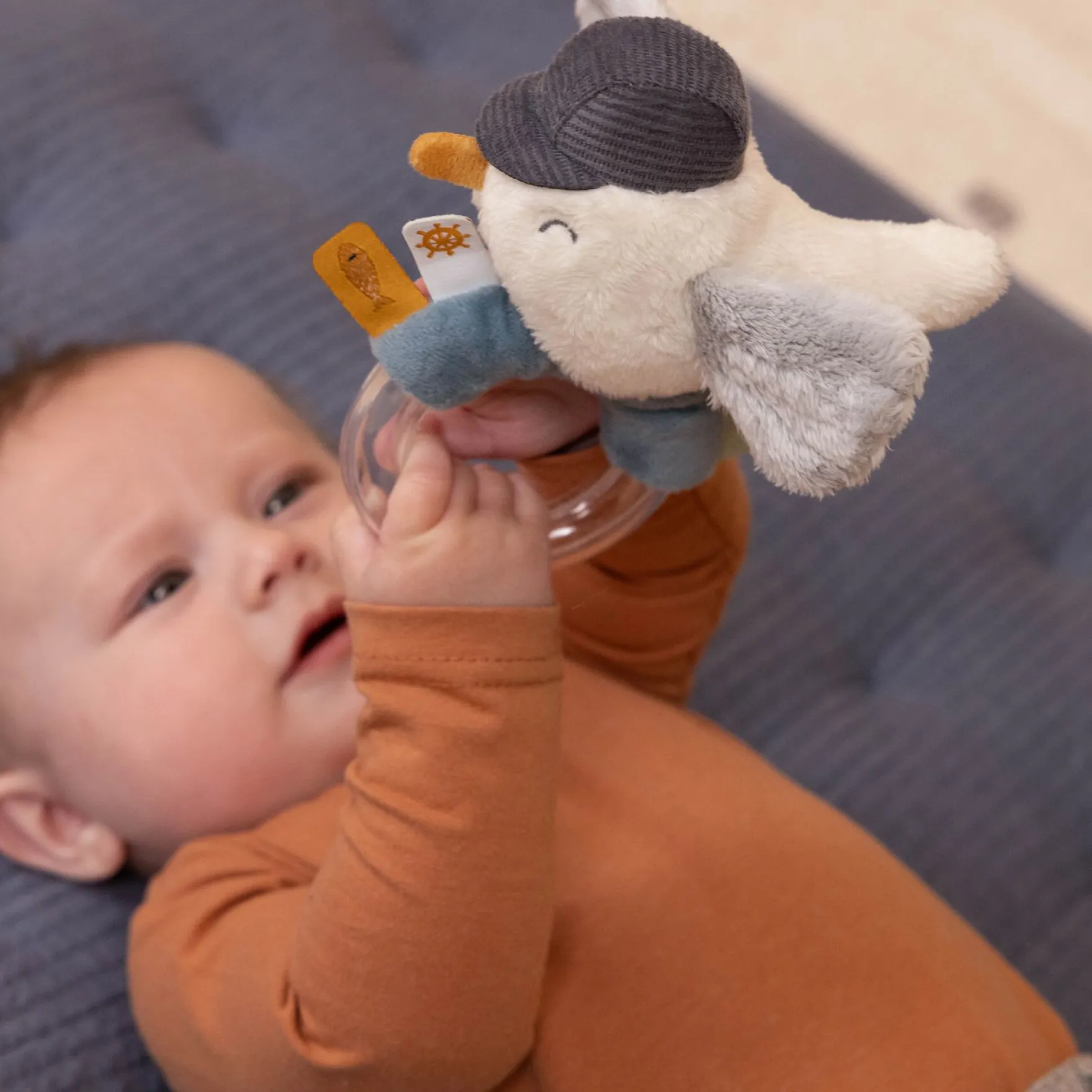 Little Dutch Ringrammelaar Sailors Bay