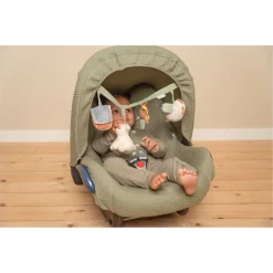 Little Farm Autostoelspeeltje