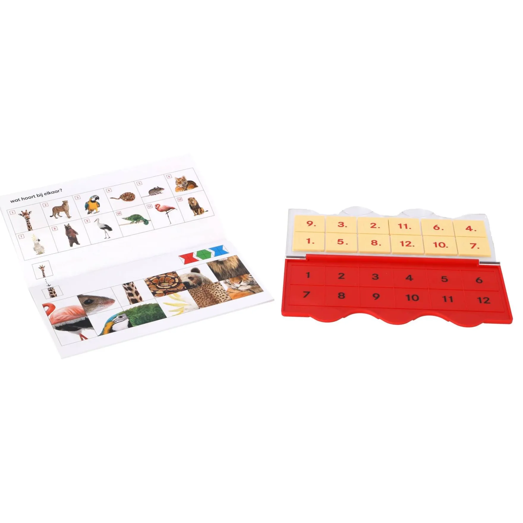 Loco Mini Starterset