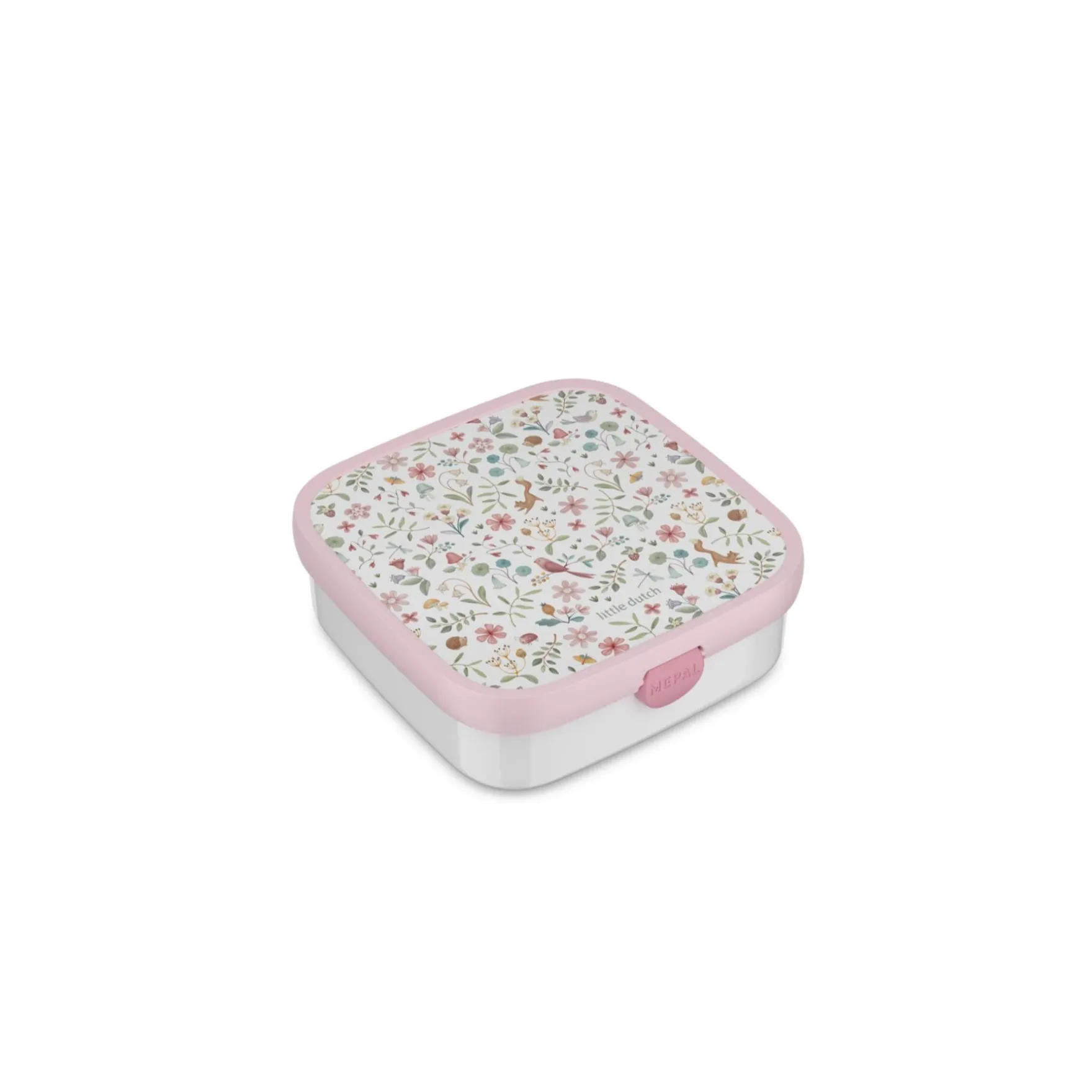 Lunchbox campus - fairy wonders