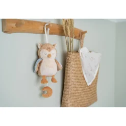 Muziekdoos Uil Forest Friends Grs