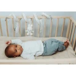 Nijntje Activiteitenspiraal Lucky Leaves