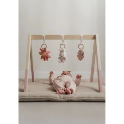 Nijntje Babygym Lucky Blossom
