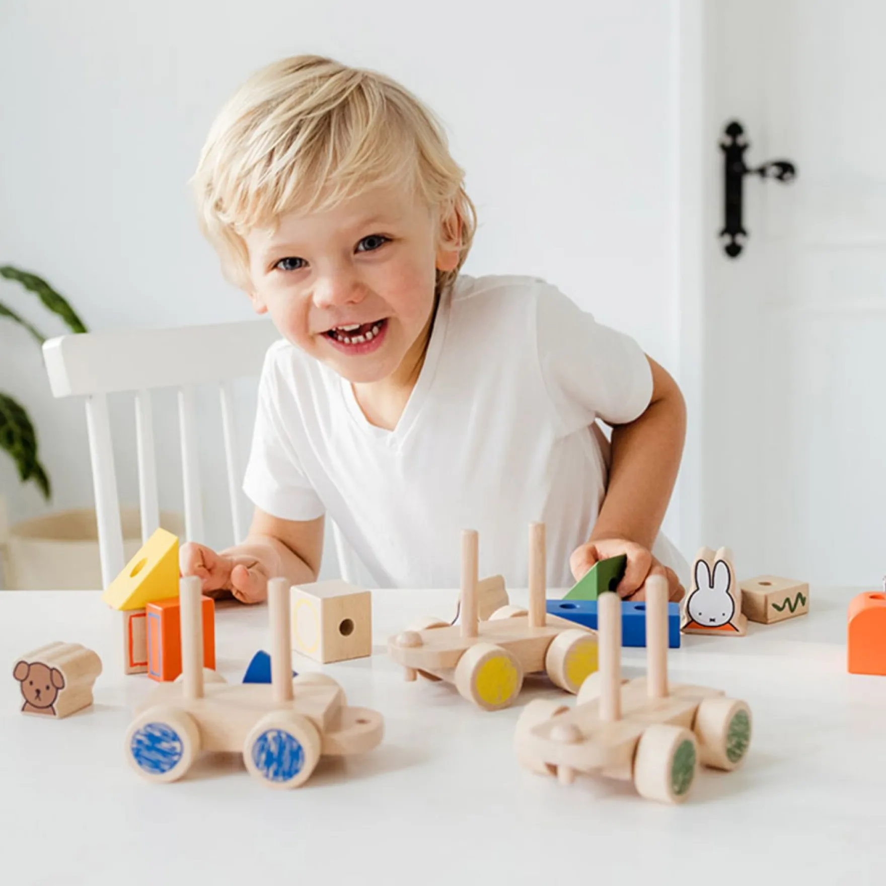 Nijntje Blokkentrein