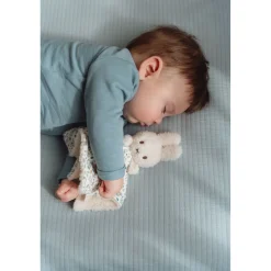 Nijntje Geschenkdoos Lucky Leaves