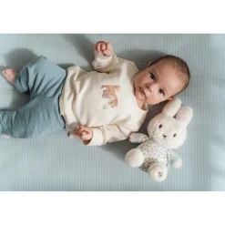 Nijntje Knuffel 20 Cm Lucky Leaves