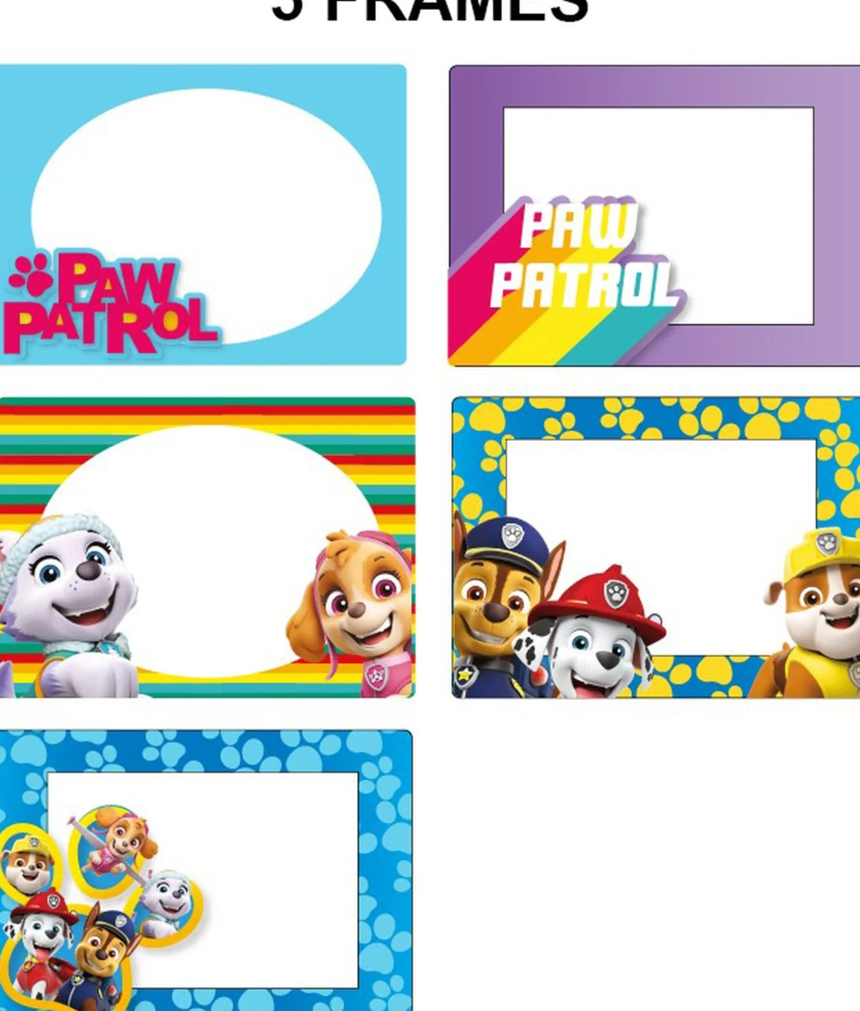 Paw Patrol Camera Interactief Accu Usb