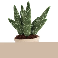 Pluchiez pluche plantjes 3 assorti