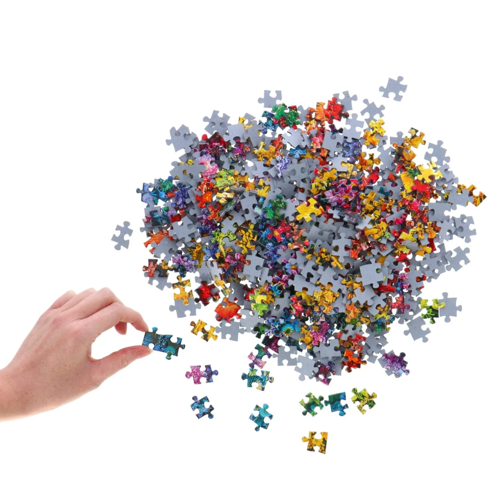 Puzzel Flower Colorboom 1000 stukjes