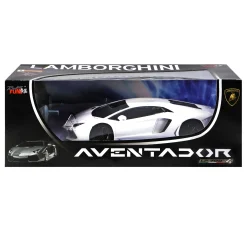 Radiografisch Bestuurbare Auto 10 Assorti 1:24