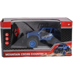 Radiografisch Bestuurbare Buggy Schaal 1:22 Â 2 Assorti