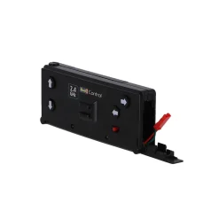 Radiografisch Bestuurbare Mini Auto Dino Stegosaurus