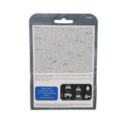 Radiografisch Bestuurbare Mini Auto Dino Quetzalzoatlus