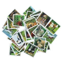 Ravensburger Memory Jonge Dieren Pocket